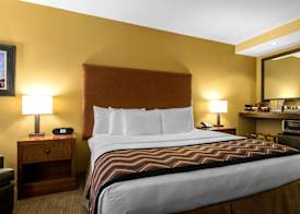 The Golden Hotel, an Ascend Collection Hotel 5
