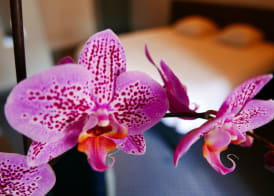Hotel de Normandie 2