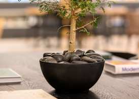 Sadot Hotel Ben Gurion Airport - an Atlas Boutique Hotel 5