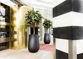 Radisson Blu Plaza Hotel, Oslo 5