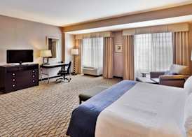 Holiday Inn DETROIT METRO AIRPORT by IHG 5