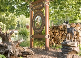 Disney Davy Crockett Ranch + Tickets 2