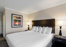Best Western St Louis Kirkwood Route 66 5