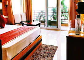 Wood Stock Kasauli-Rooms With Balcony & Cottages with private Terrace-Panoramic View -Adjoining Forest Track 4