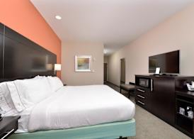 Holiday Inn Express & Suites AUSTIN SOUTH by IHG 5
