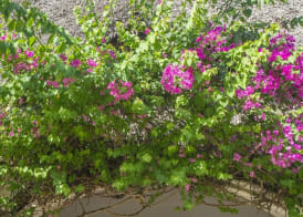 Villa Kiva Boutique Hotel 2