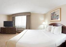 Holiday Inn & Suites CHICAGO-CAROL STREAM (WHEATON) by IHG 2