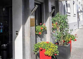 Hotel Fackelmann 3