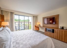 Holiday Inn SAN JOSE LA SABANA by IHG 5