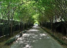 Twin Lotus Resort and Spa - SHA Plus - Adult Only "November - April" 2