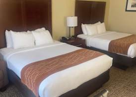Comfort Inn & Suites Daphne Spanish Fort - Mobile East 5