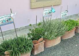 Fattoria Palazzeta - Pet & Family Friendly 5