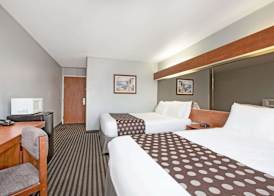 Microtel Inn & Suites by Wyndham Garland/Dallas 3