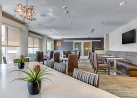 Residence Inn by Marriot Clearwater Downtown 5