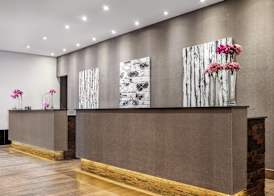 Meliá Ibirapuera 5