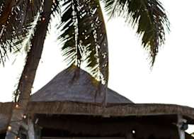 Hip Hotel Tulum 5