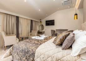 Hotel Vila Hedonija 4