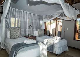 Raptors Lodge 2