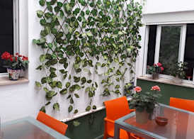 Málaga Centro Hostel 3