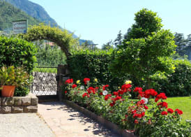 Guesthouse Pension Grafenstein 3