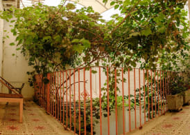 Casa Rosa Hotel 2