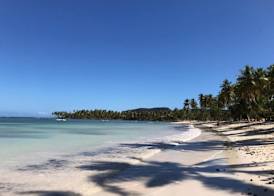 Great Palm View - Apartment 3 in Villa Coconut 5