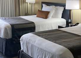 Wingate by Wyndham Springfield 4