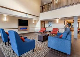 Comfort Inn & Suites Geneva- West Chicago 4