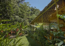 Esquinas Rainforest Lodge 2
