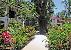 Hotel Pochote Grande 5