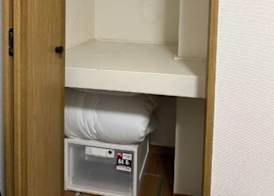 Fuji Flat 4