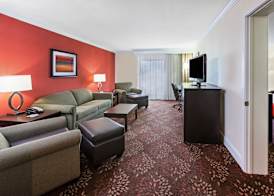 Holiday Inn TYLER - CONFERENCE CENTER by IHG 4