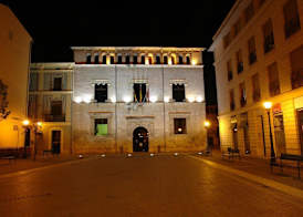 Hotel Avenida Plaza 5