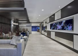 SpringHill Suites by Marriott Chicago Chinatown 2