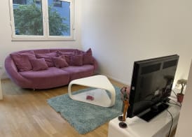 Large Modern 75m2 Flat and Free Parking 2