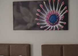 Vitta Hotel Superior 4