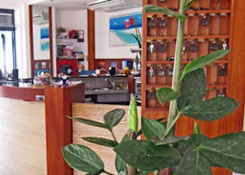 Hotel La Plage 3