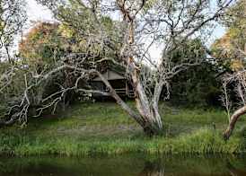 Zambezi Dusk River Facing-all inclusive-Luxury Accommodation 3
