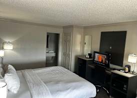 Quality Inn & Suites 4