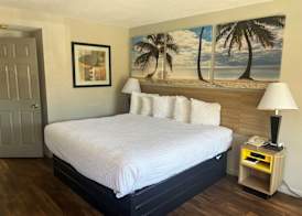 Days Inn by Wyndham St. Petersburg Central 3