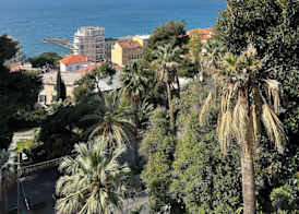 Hotel Petit Royal 5
