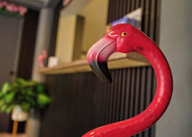 Central Boutique Hotel 3