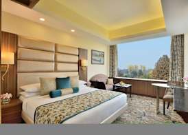 Radisson Srinagar 4