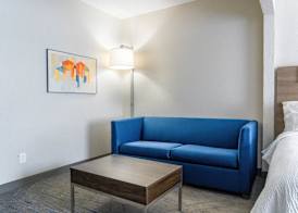 Holiday Inn Express & Suites HIAWASSEE by IHG 4