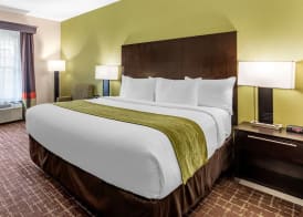 Comfort Inn San Diego Old Town 5