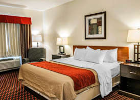 Comfort Inn Avon-Indianapolis West 5