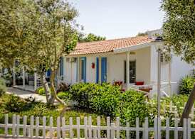 Teos Ormanci Tatil Koyu 3