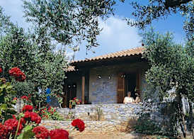 Kalamitsi Hotel 5