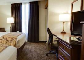Wingate by Wyndham St Louis-Fenton Route 66 5