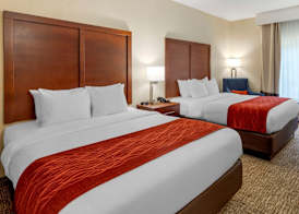 Comfort Inn & Suites Canton Riverstone Area 5